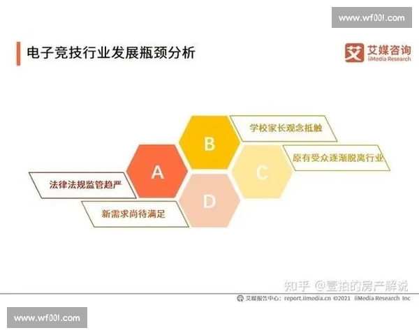 职业联赛发展趋势与商业运作模式深度解析