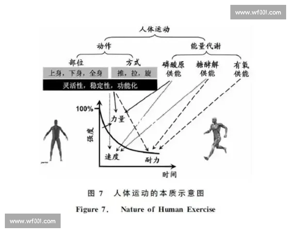 现代体育科学视角下运动表现提升机制与健康优化研究